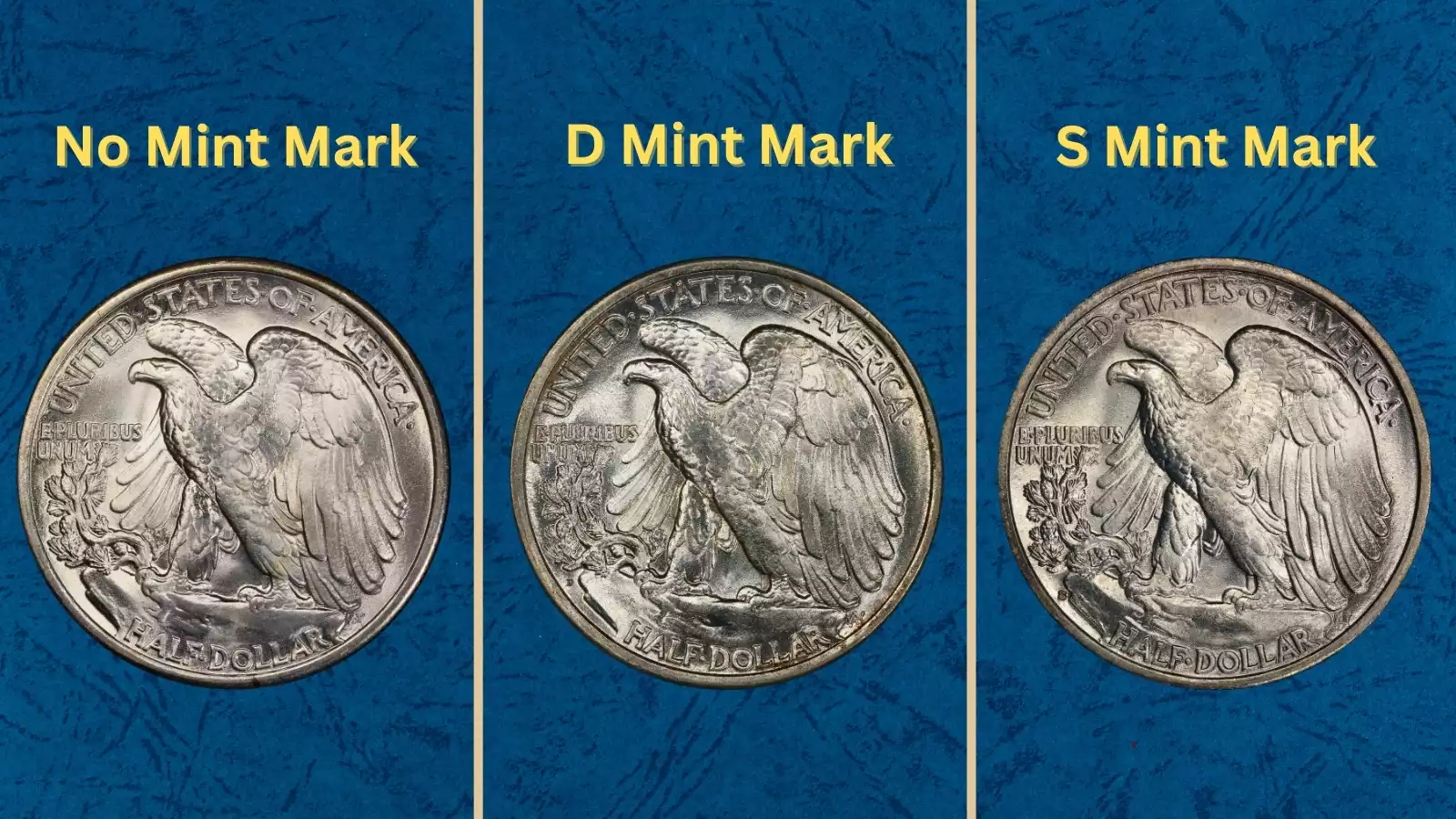 Group of 1934 Walking Liberty Half Dollars in various grades from worn circulated to gem Mint State showing survival condition spectrum